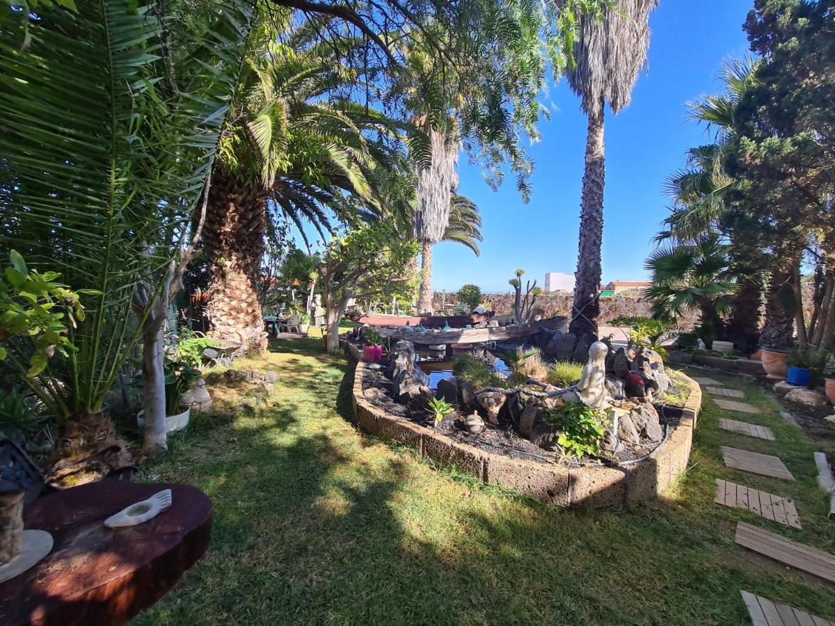 Finca Tropical Arico Viejo Εξωτερικό φωτογραφία