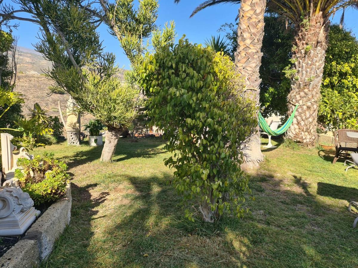 Finca Tropical Arico Viejo Εξωτερικό φωτογραφία
