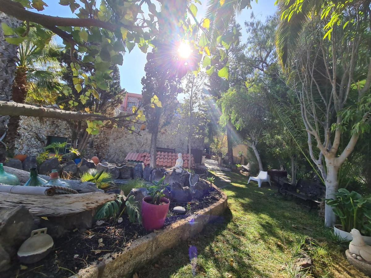 Finca Tropical Arico Viejo Εξωτερικό φωτογραφία