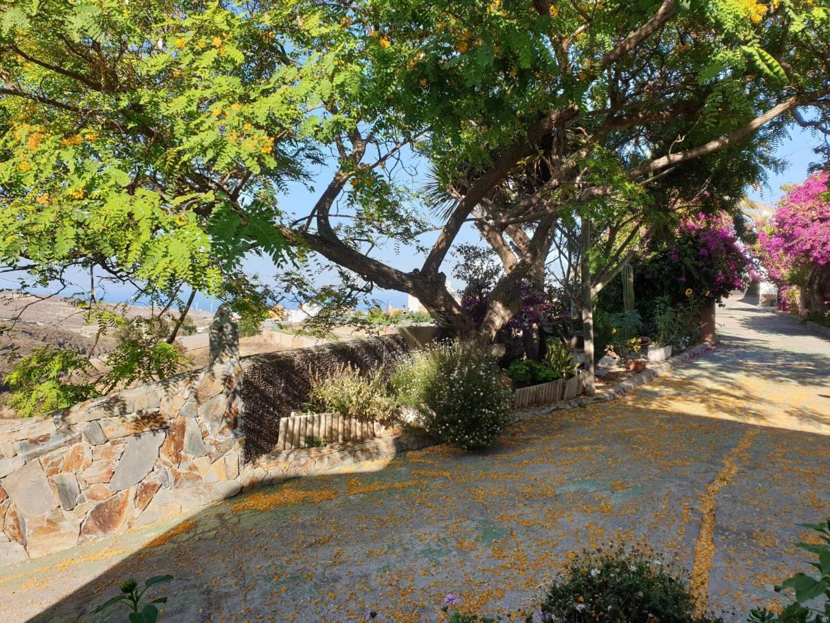 Finca Tropical Arico Viejo Εξωτερικό φωτογραφία