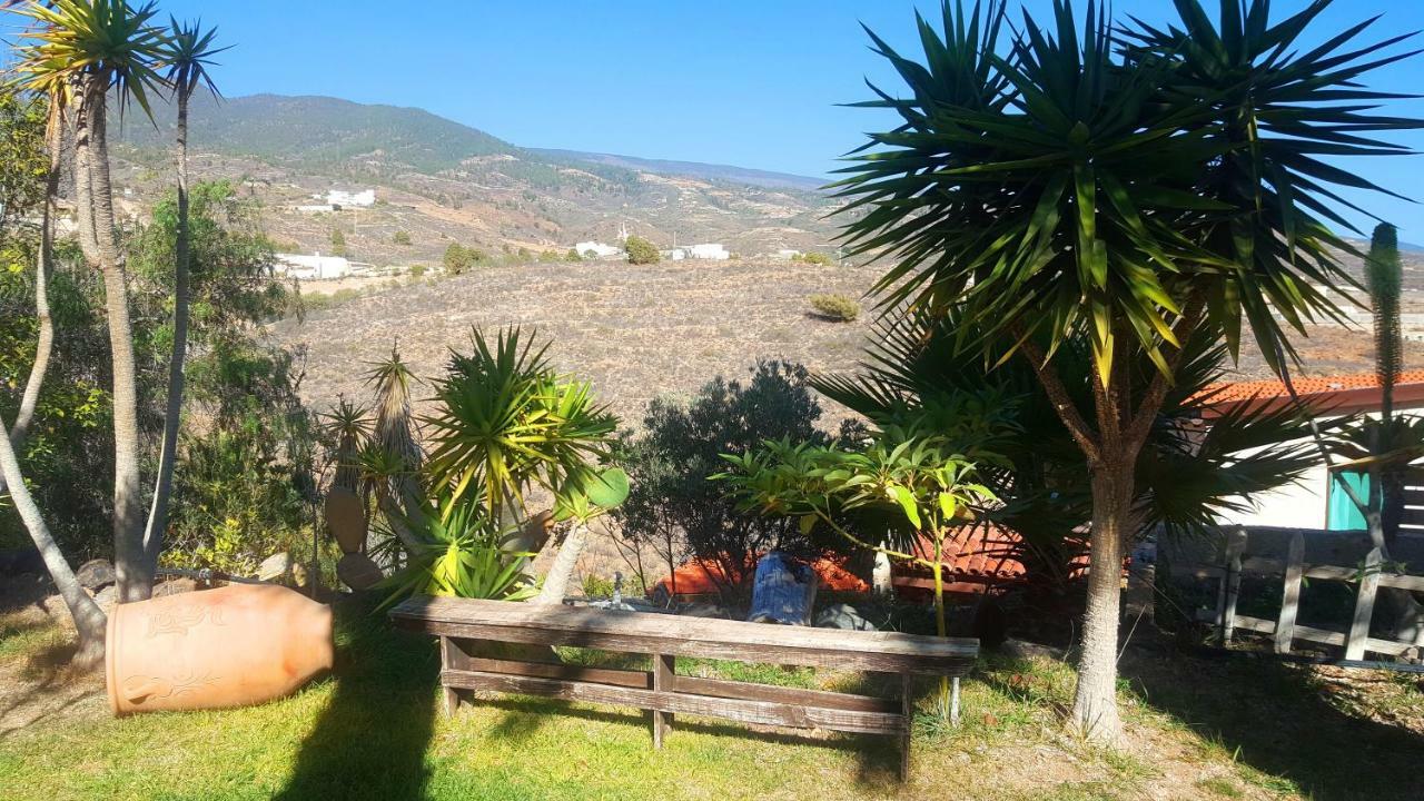 Finca Tropical Arico Viejo Εξωτερικό φωτογραφία