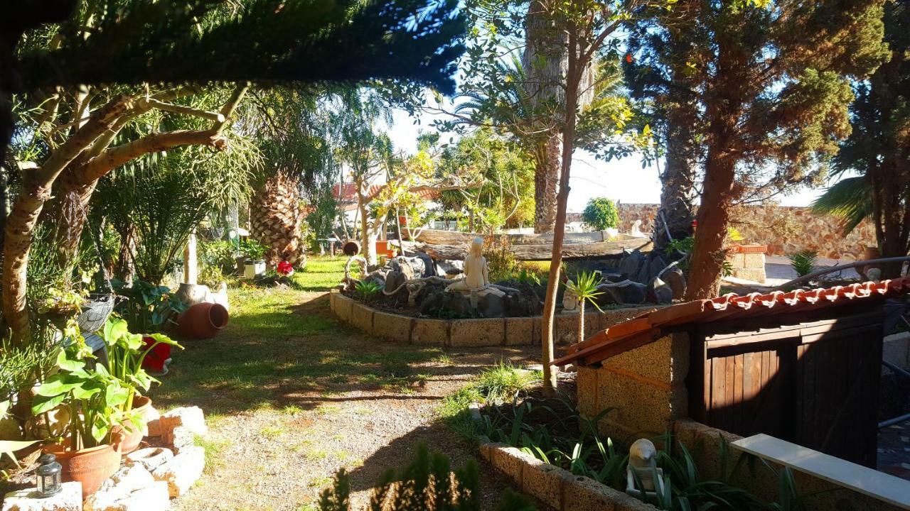 Finca Tropical Arico Viejo Εξωτερικό φωτογραφία