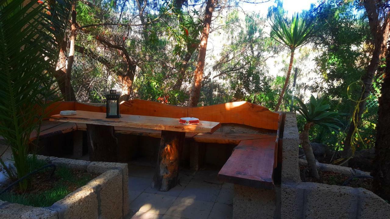 Finca Tropical Arico Viejo Εξωτερικό φωτογραφία