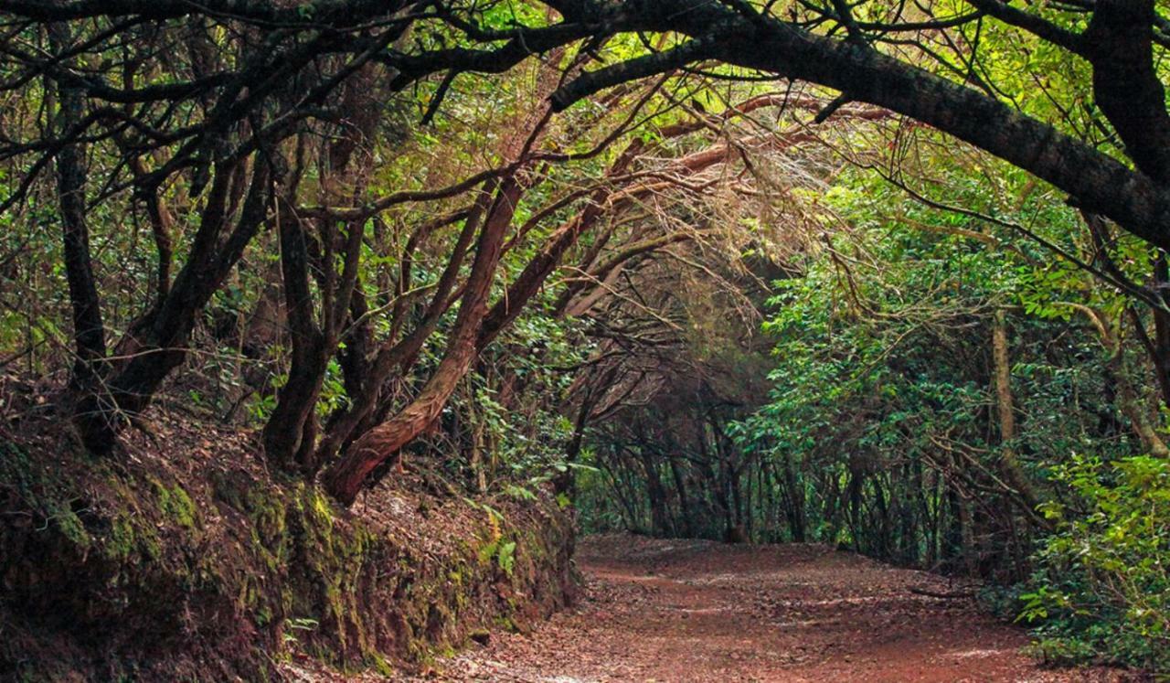 Finca Tropical Arico Viejo Εξωτερικό φωτογραφία
