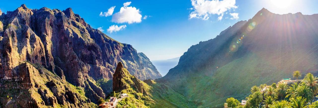 Finca Tropical Arico Viejo Εξωτερικό φωτογραφία